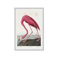 Picture of Vintage Pink Flamingo _GroupedProduct_Rectangle_Portrait_Framed_Matted_