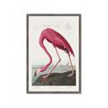 Picture of Vintage Pink Flamingo _GroupedProduct_Rectangle_Portrait_Framed_Matted_
