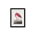 Picture of Vintage Pink Flamingo _GroupedProduct_Rectangle_Portrait_Framed_Matted_