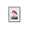 Picture of Vintage Pink Flamingo _GroupedProduct_Rectangle_Portrait_Framed_Matted_