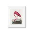 Picture of Vintage Pink Flamingo _GroupedProduct_Rectangle_Portrait_Framed_Matted_