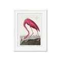 Picture of Vintage Pink Flamingo _GroupedProduct_Rectangle_Portrait_Framed_Matted_