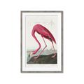 Picture of Vintage Pink Flamingo _GroupedProduct_Rectangle_Portrait_Framed_Matted_