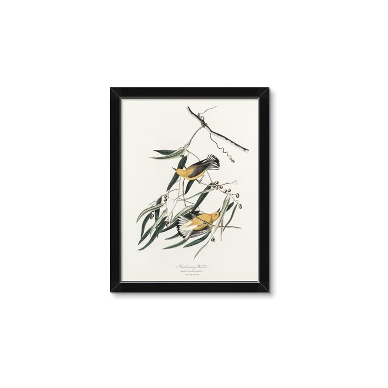 Picture of Two Yellow Warbler Birds _GroupedProduct_Rectangle_Portrait_Framed_Matted_
