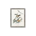 Picture of Two Yellow Warbler Birds _GroupedProduct_Rectangle_Portrait_Framed_Matted_
