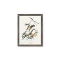 Picture of Two Yellow Warbler Birds _GroupedProduct_Rectangle_Portrait_Framed_Matted_