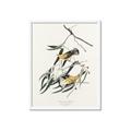 Picture of Two Yellow Warbler Birds _GroupedProduct_Rectangle_Portrait_Framed_Matted_