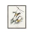 Picture of Two Yellow Warbler Birds _GroupedProduct_Rectangle_Portrait_Framed_Matted_