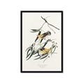 Picture of Two Yellow Warbler Birds _GroupedProduct_Rectangle_Portrait_Framed_Matted_
