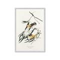 Picture of Two Yellow Warbler Birds _GroupedProduct_Rectangle_Portrait_Framed_Matted_