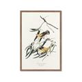 Picture of Two Yellow Warbler Birds _GroupedProduct_Rectangle_Portrait_Framed_Matted_