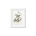 Picture of Two Yellow Warbler Birds _GroupedProduct_Rectangle_Portrait_Framed_Matted_
