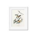 Picture of Two Yellow Warbler Birds _GroupedProduct_Rectangle_Portrait_Framed_Matted_