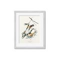 Picture of Two Yellow Warbler Birds _GroupedProduct_Rectangle_Portrait_Framed_Matted_
