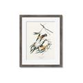 Picture of Two Yellow Warbler Birds _GroupedProduct_Rectangle_Portrait_Framed_Matted_