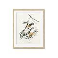 Picture of Two Yellow Warbler Birds _GroupedProduct_Rectangle_Portrait_Framed_Matted_