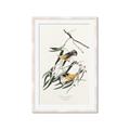 Picture of Two Yellow Warbler Birds _GroupedProduct_Rectangle_Portrait_Framed_Matted_