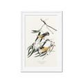 Picture of Two Yellow Warbler Birds _GroupedProduct_Rectangle_Portrait_Framed_Matted_