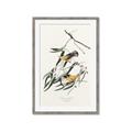 Picture of Two Yellow Warbler Birds _GroupedProduct_Rectangle_Portrait_Framed_Matted_
