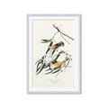 Picture of Two Yellow Warbler Birds _GroupedProduct_Rectangle_Portrait_Framed_Matted_