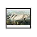 Picture of Vintage Floating White Swan _GroupedProduct_Rectangle_Landscape_Framed_Matted_