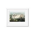 Picture of Vintage Floating White Swan _GroupedProduct_Rectangle_Landscape_Framed_Matted_