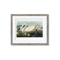 Picture of Vintage Floating White Swan _GroupedProduct_Rectangle_Landscape_Framed_Matted_