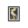Picture of Vintage White Pelican _GroupedProduct_Rectangle_Portrait_Framed_Matted_