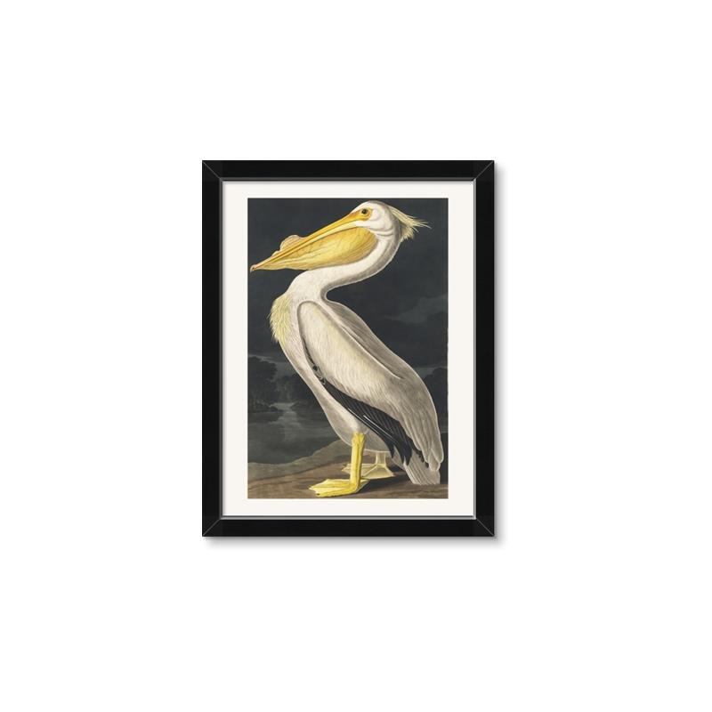 Picture of Vintage White Pelican _GroupedProduct_Rectangle_Portrait_Framed_Matted_