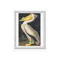 Picture of Vintage White Pelican _GroupedProduct_Rectangle_Portrait_Framed_Matted_