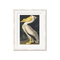 Picture of Vintage White Pelican _GroupedProduct_Rectangle_Portrait_Framed_Matted_