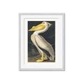 Picture of Vintage White Pelican _GroupedProduct_Rectangle_Portrait_Framed_Matted_