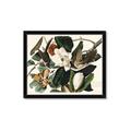 Picture of Black Billed Cuckoo Bird _GroupedProduct_Rectangle_Landscape_Framed_Matted_
