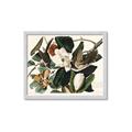 Picture of Black Billed Cuckoo Bird _GroupedProduct_Rectangle_Landscape_Framed_Matted_