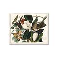 Picture of Black Billed Cuckoo Bird _GroupedProduct_Rectangle_Landscape_Framed_Matted_