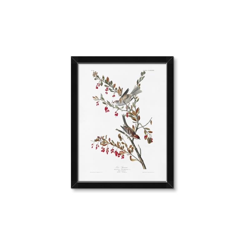 Picture of Vintage Tree Sparrow _GroupedProduct_Rectangle_Portrait_Framed_Matted_