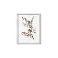 Picture of Vintage Tree Sparrow _GroupedProduct_Rectangle_Portrait_Framed_Matted_