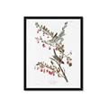 Picture of Vintage Tree Sparrow _GroupedProduct_Rectangle_Portrait_Framed_Matted_