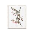 Picture of Vintage Tree Sparrow _GroupedProduct_Rectangle_Portrait_Framed_Matted_