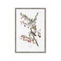 Picture of Vintage Tree Sparrow _GroupedProduct_Rectangle_Portrait_Framed_Matted_