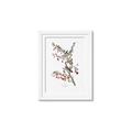Picture of Vintage Tree Sparrow _GroupedProduct_Rectangle_Portrait_Framed_Matted_