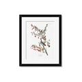 Picture of Vintage Tree Sparrow _GroupedProduct_Rectangle_Portrait_Framed_Matted_