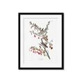 Picture of Vintage Tree Sparrow _GroupedProduct_Rectangle_Portrait_Framed_Matted_