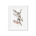 Picture of Vintage Tree Sparrow _GroupedProduct_Rectangle_Portrait_Framed_Matted_