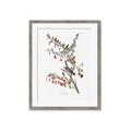 Picture of Vintage Tree Sparrow _GroupedProduct_Rectangle_Portrait_Framed_Matted_