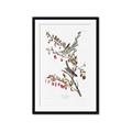 Picture of Vintage Tree Sparrow _GroupedProduct_Rectangle_Portrait_Framed_Matted_