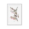 Picture of Vintage Tree Sparrow _GroupedProduct_Rectangle_Portrait_Framed_Matted_