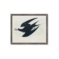Picture of Vintage Black Sooty Tern _GroupedProduct_Rectangle_Landscape_Framed_Matted_