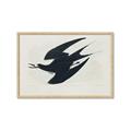 Picture of Vintage Black Sooty Tern _GroupedProduct_Rectangle_Landscape_Framed_Matted_