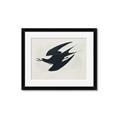 Picture of Vintage Black Sooty Tern _GroupedProduct_Rectangle_Landscape_Framed_Matted_